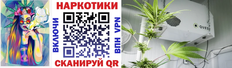 Все наркотики Славянск-на-Кубани Альфа ПВП  Кетамин  Каннабис  COCAIN  ГАШ 