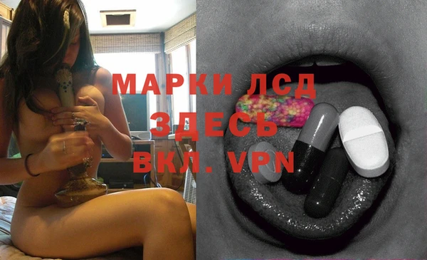 твердый Володарск