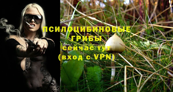 твердый Володарск