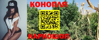 МДПВ Гатчина