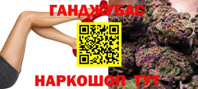 тгк Гай