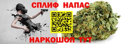 МДПВ Гатчина