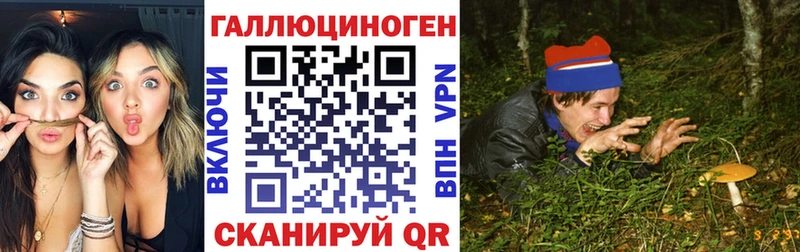 Псилоцибиновые грибы Psilocybe Славянск-на-Кубани