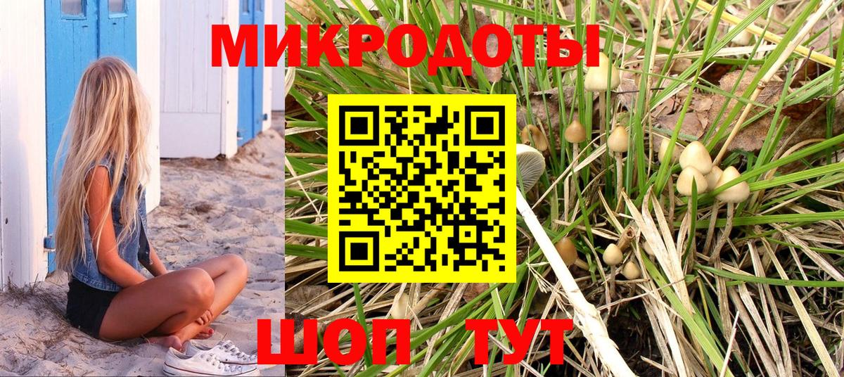 Славянск-на-Кубани  Псилоцибиновые грибы мухоморы  Вход с VPN 